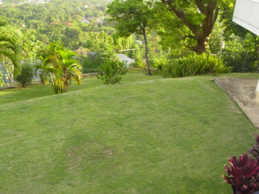 Hill Top Kingston Jamaica Dış mekan fotoğraf